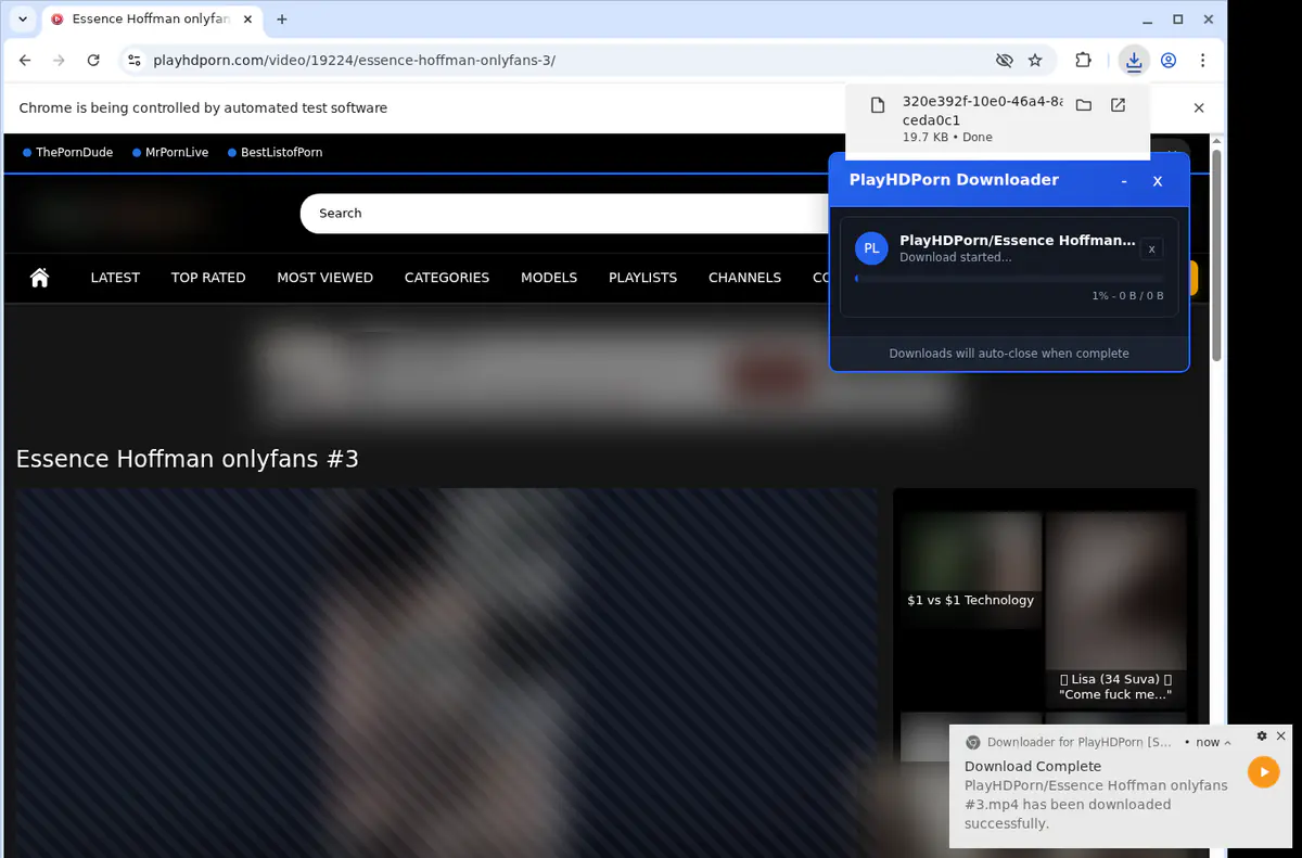 Playhdporn Video Downloader browser extension screenshot 2