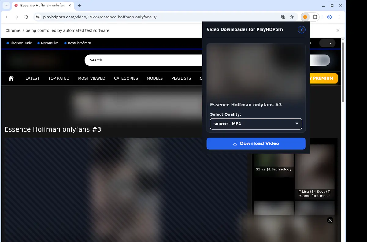 Playhdporn Video Downloader browser extension screenshot 3