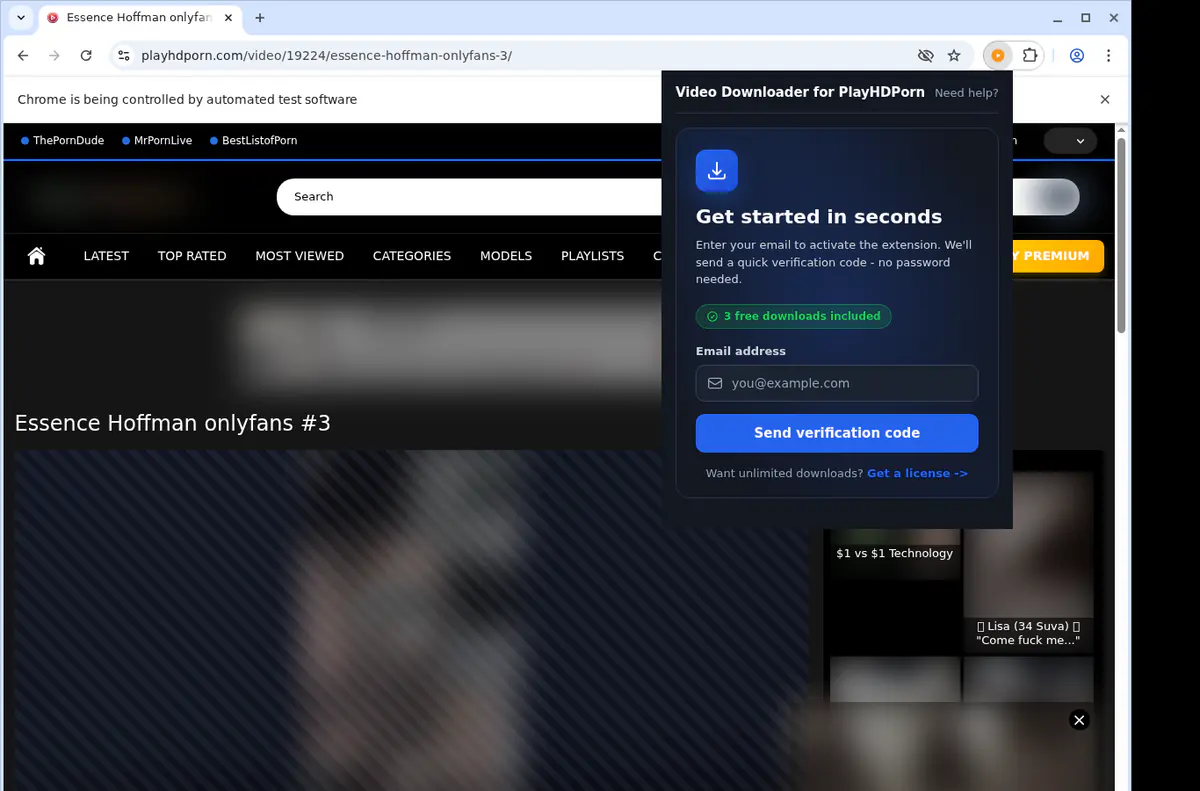 Playhdporn Video Downloader browser extension screenshot 5